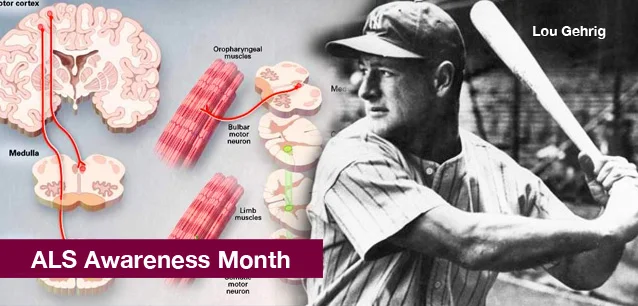 No image found 3351_ALS_Awareness_MonthE.webp