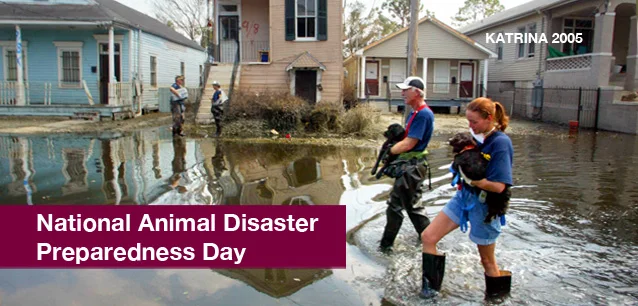 No image found 3384_Animal_Disaster_Preparedness_DayE.webp