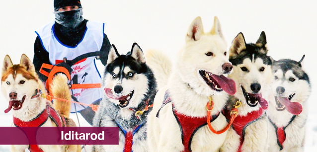 No image found 5002_IditarodE.png