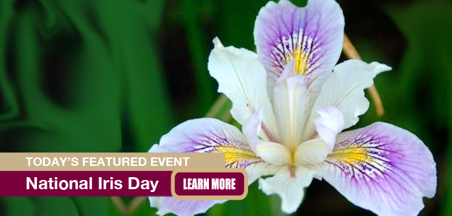 No Image found . This Image is about the event Iris Day: May 8. Click on the event name to see the event detail.