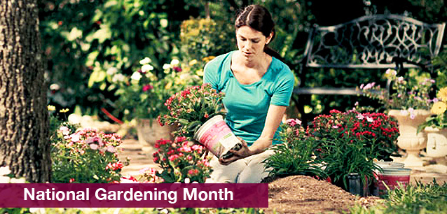 No image found 5180_Lawn_Garden_MonthE.png