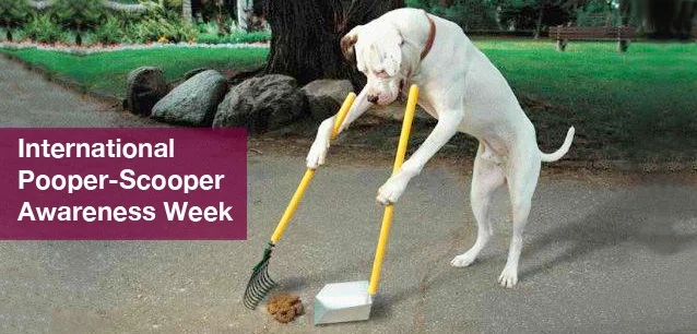 No image found 5981_Pooper_Scooper_Wk_IntlE.webp