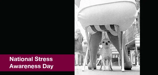 No image found 6561_Stress_Awareness_DayE.webp
