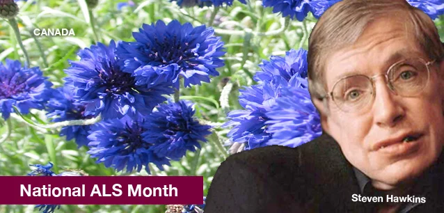 No image found 8355_ALS_Awareness_Month_CAE.webp