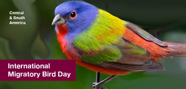 No image found 9694_Migratory_Bird_Day_SouthE.webp