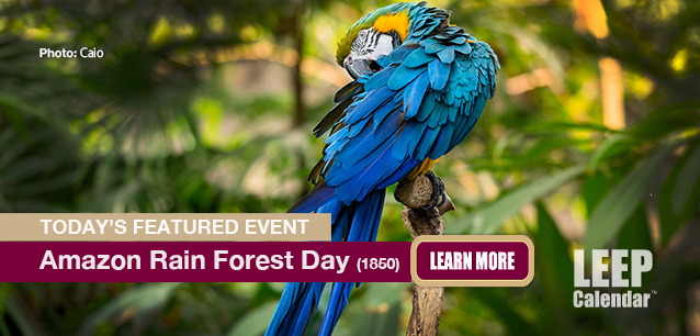 No Image found . This Image is about the event Rain Forest Day, Amazon (1850): September 5. Click on the event name to see the event detail.