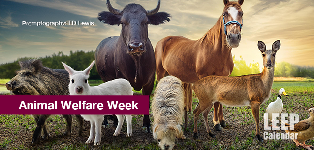 No image found Animal-Welfare-Week-US-E.png