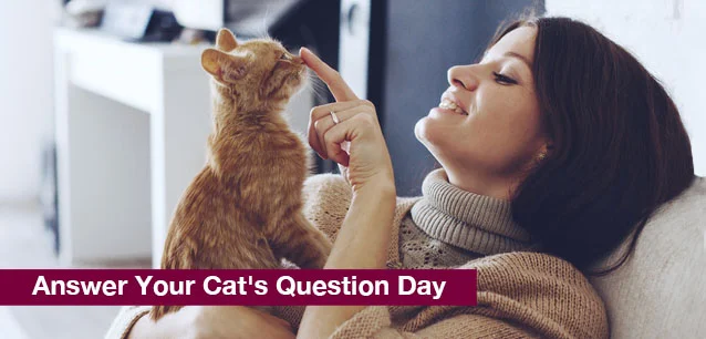 No image found Answer_Your_Cat's_Question_DayE.webp