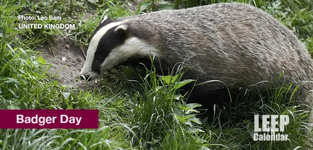 No image found BadgerDayE.webp