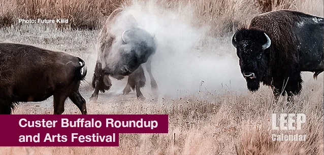 No image found Buffalo_roundup_Arts_FestivalE.webp