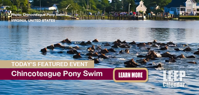 No Image found . This Image is about the event Chincoteague Pony Swim (US-VA): July 19-25 (est). Click on the event name to see the event detail.