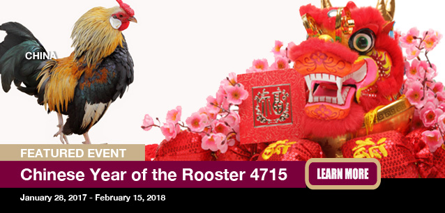 No image found Chinese_Year_RoosterF.jpg