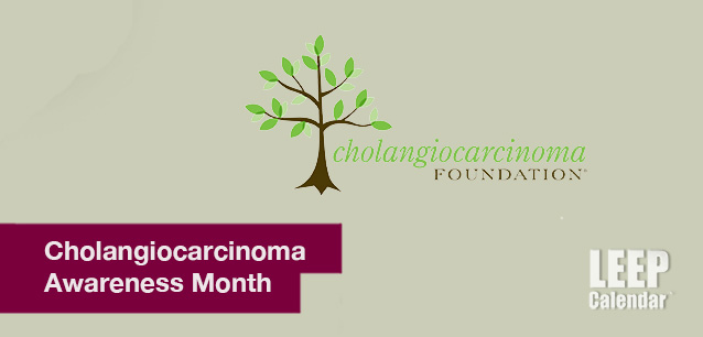 No image found Cholangiocarcinoma-Awareness-Month-E.png