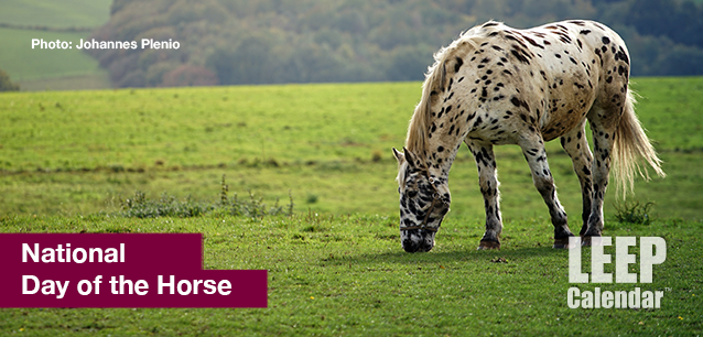 No image found DayoftheHorseE.png