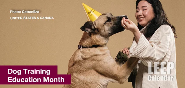 No image found DogTrainingmonthE.webp