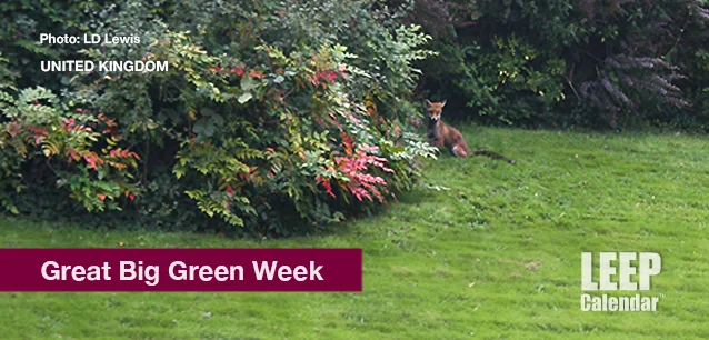 No image found Green_Week_UKE.webp