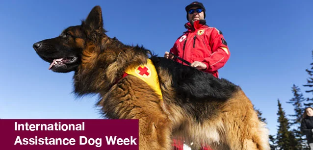 No image found International_Assistance_Dog_WeekE.webp