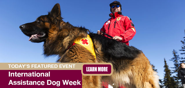 No Image found . This Image is about the event Assistance Dog Week, Intl.: August 3-9. Click on the event name to see the event detail.