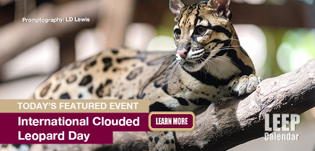 No Image found . This Image is about the event Clouded Leopard Day, Int.: August 4. Click on the event name to see the event detail.