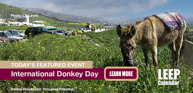 No Image found . This Image is about the event Donkey Day, Intl.: May 8. Click on the event name to see the event detail.