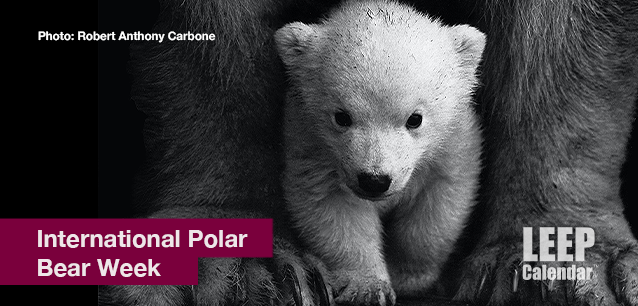 No image found Intl_Polar_Bear_WeekE.png