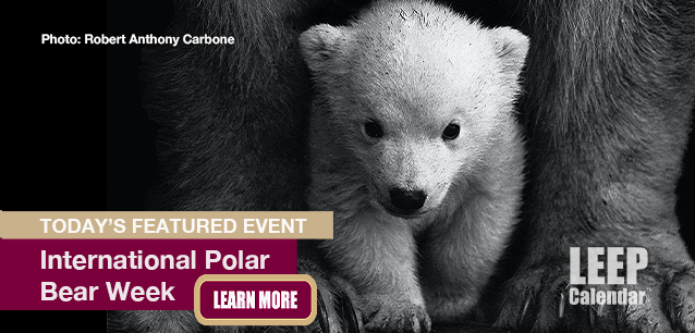 No Image found . This Image is about the event Polar Bear Week, Intl.: November 2-8. Click on the event name to see the event detail.