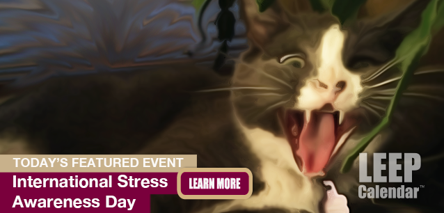 No Image found . This Image is about the event Stress Awareness Day, Intl.: November 5. Click on the event name to see the event detail.