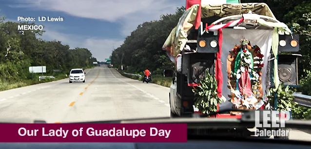 No image found Lady_Guadalupe_DayE.webp