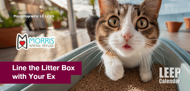 No image found Line-the-Litter-Box-with-your-Ex-E.png
