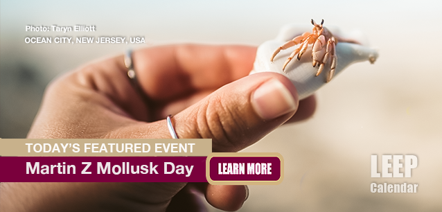No Image found . This Image is about the event Martin Z Mollusk Day (US-NJ): May 2 (est). Click on the event name to see the event detail.