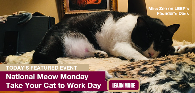 No Image found . This Image is about the event Meow Monday, Take Your Cat to Work Day: June 16. Click on the event name to see the event detail.