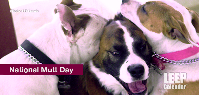 No image found Mutt_Day_JulyE.png