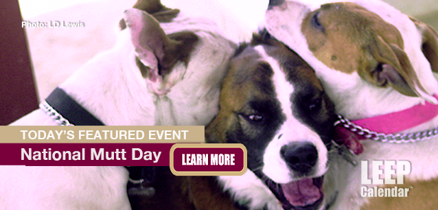 No Image found . This Image is about the event Mutt's Day, Ntl.: July 31*. Click on the event name to see the event detail.