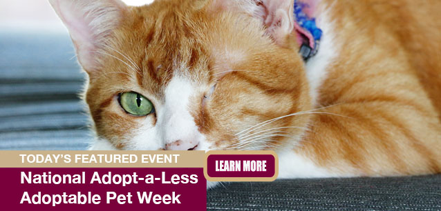 No Image found . This Image is about the event Adopt-a-Less-Adoptable Pet Week: September 21-27. Click on the event name to see the event detail.