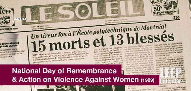 No image found National_Day_of_Remembrance_and_Action_on_Violence_Against_WomenE.png