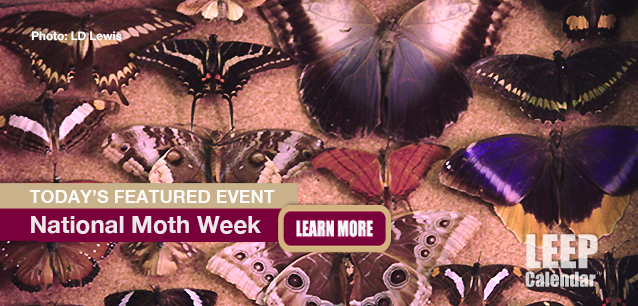 No Image found . This Image is about the event Moth Week, Ntl.: July 19-27. Click on the event name to see the event detail.