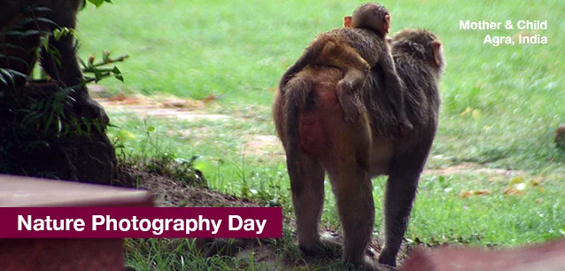 No image found NaturePhotoDayE.webp