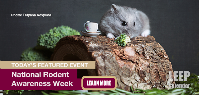 No Image found . This Image is about the event Rodent Awareness Week, Ntl.: October 19-25. Click on the event name to see the event detail.