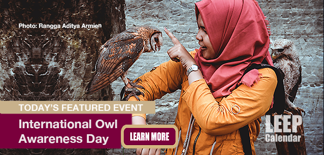 No Image found . This Image is about the event Owl Day, International: August 4. Click on the event name to see the event detail.