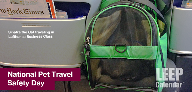 No image found Pet_Travel_Safety_DayE.png