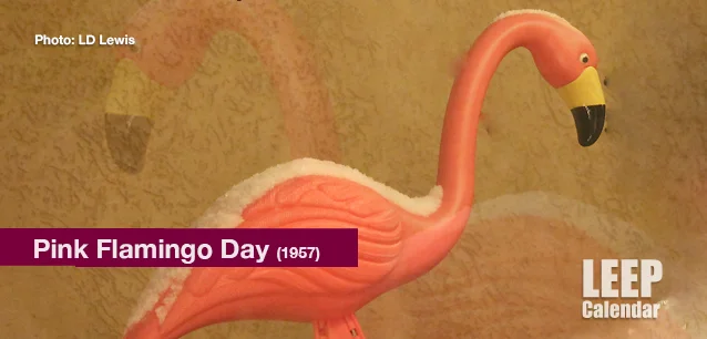 No image found PinkFlamingoDayE.webp