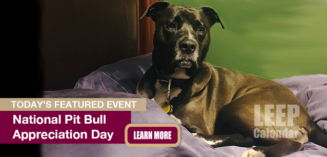 No Image found . This Image is about the event Pit Bull Appreciation Day, Ntl.: October 25. Click on the event name to see the event detail.
