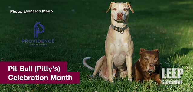 No image found Pit_Bull_Celebration_MonthE.png