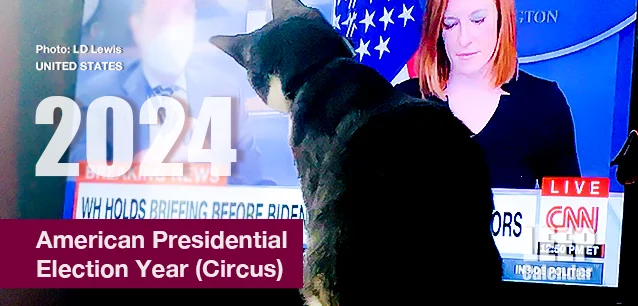 No image found Presidential_Election_YearE.webp
