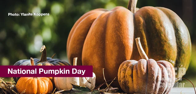 No image found PumpkinDayE.webp