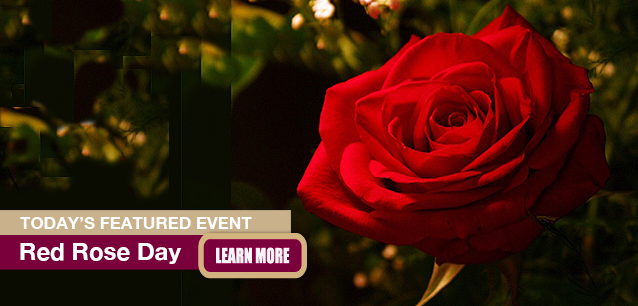 No Image found . This Image is about the event Red Rose Day: June 12. Click on the event name to see the event detail.