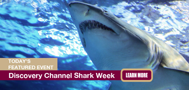No Image found . This Image is about the event Shark Week: July 20-26. Click on the event name to see the event detail.