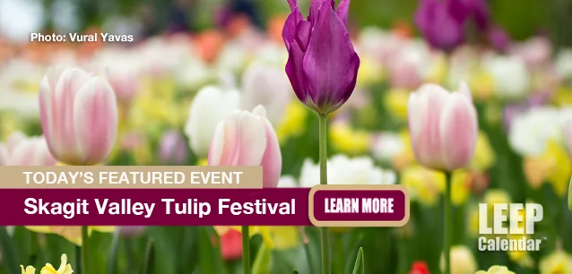 No image found Skagit-Valley-Tulip-FestivalE.webp