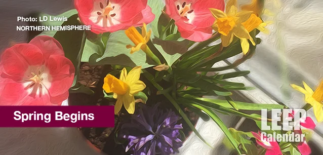 No image found SpringNHE.webp