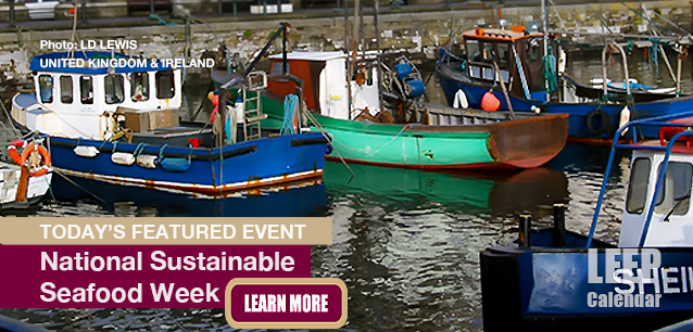 No Image found . This Image is about the event Sustainable Seafood Week, Ntl. (UK/IE): September 19-26 (est). Click on the event name to see the event detail.